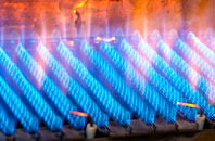 Boskednan gas fired boilers